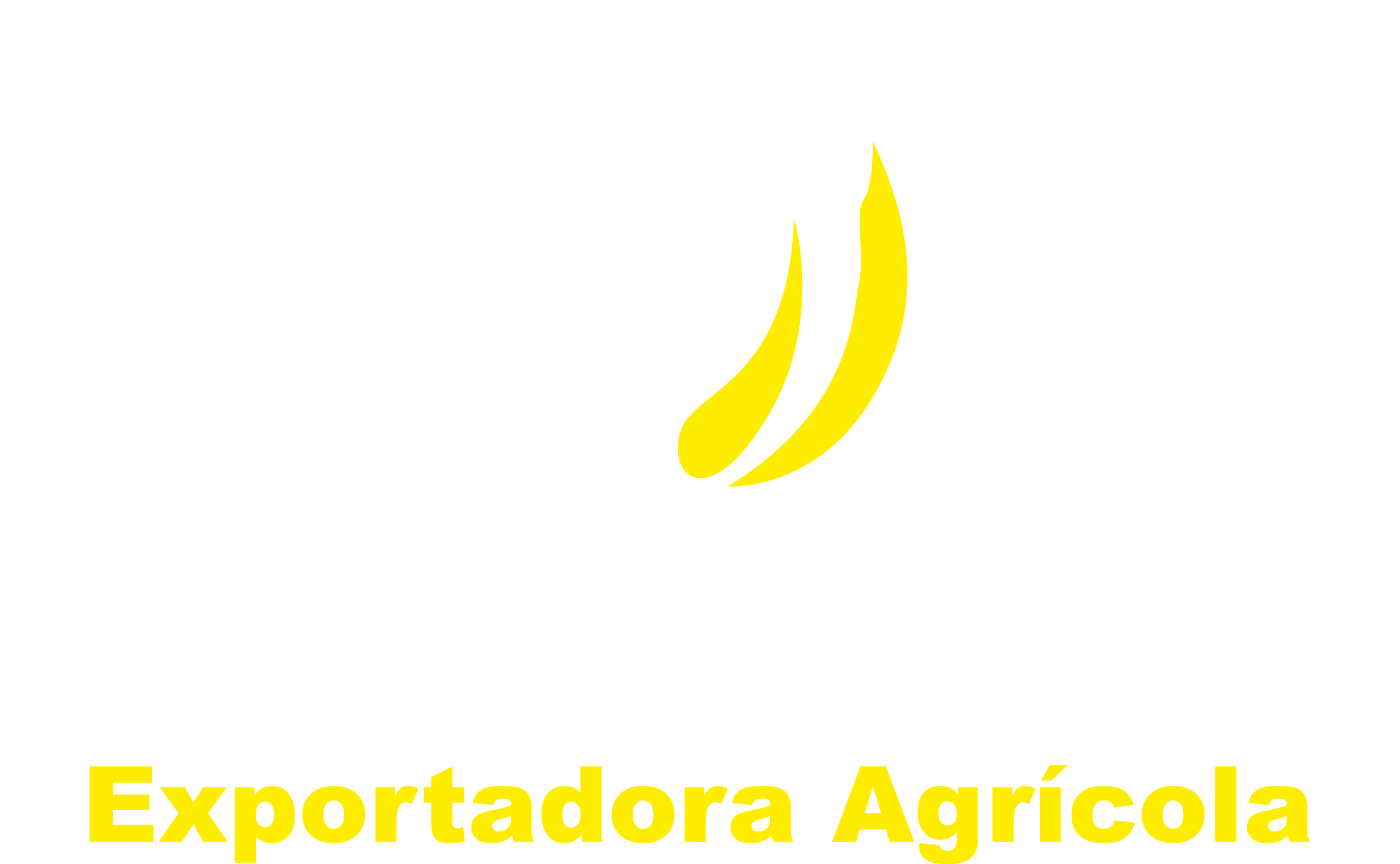 LOGO MA&CAO 2