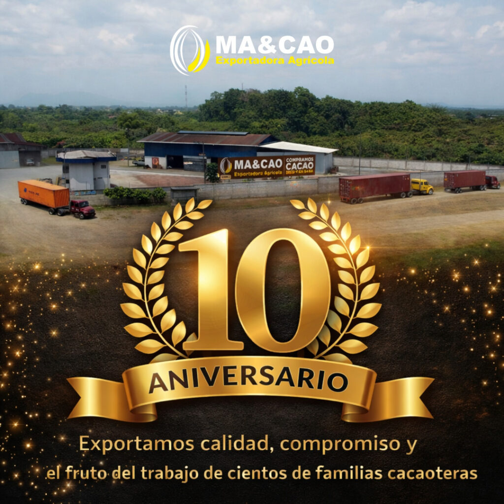 cacao,exportadora de cacao,ma&cao,compra de cacao,vneta de cacao,exportadora de cacao en el ecuador,exportadoramaicao